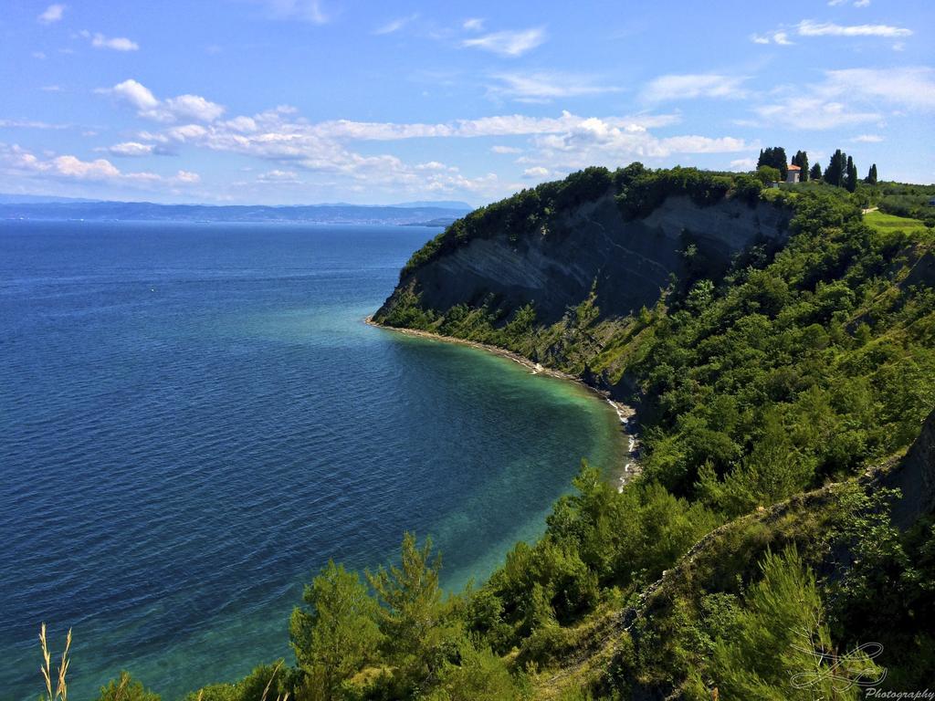 Apartment In Villa, Near Piran Струнян Екстериор снимка