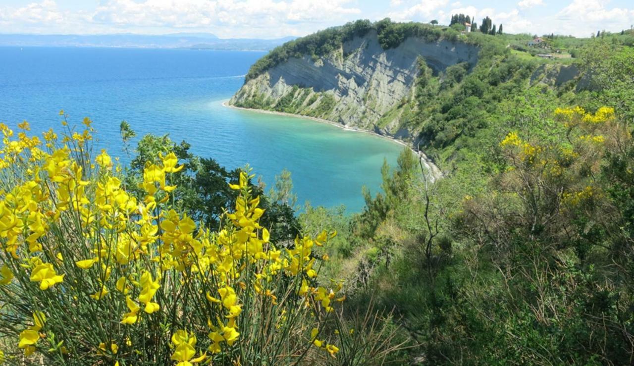 Apartment In Villa, Near Piran Струнян Екстериор снимка